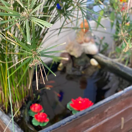 Casa Tesalia Nyaraló Güimar