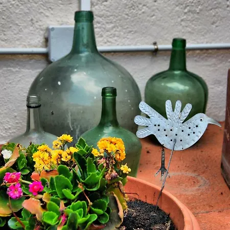 Nyaraló Casa Tesalia Güimar