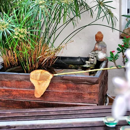 Casa Tesalia Güimar