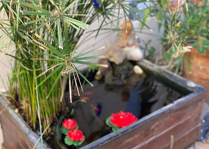 Casa Tesalia בית נופש Güimar