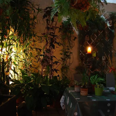 Casa Tesalia Дом отдыха