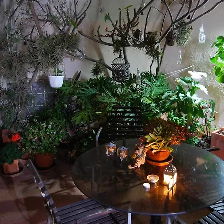 Casa Tesalia Tatil Evi Güimar