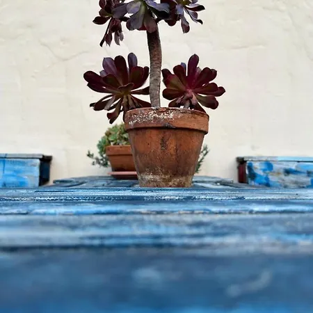 Casa Tesalia Дом отдыха *