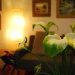 Casa Tesalia * Güimar
